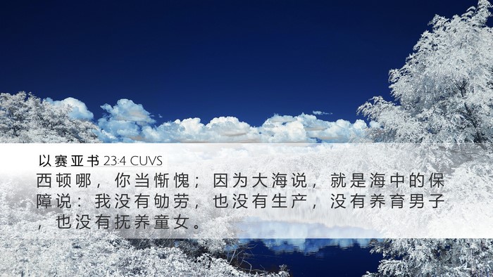 以 赛 亚 书 23:4 CUVS Desktop Wallpaper - 西 顿 哪 ， 你 当 惭 愧 ； 因 为 大 - Desktop Bible Verse Wallpaper