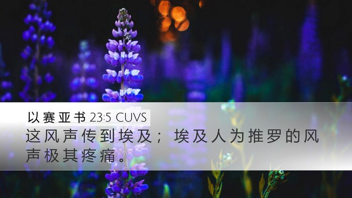 以 赛 亚 书 23:5 CUVS Desktop Wallpaper - 这 风 声 传 到 埃 及 ； 埃 及 人 为 - Desktop Bible Verse Wallpaper