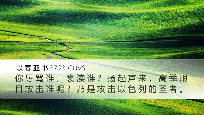 以 赛 亚 书 37:23 CUVS Bible Verse Image