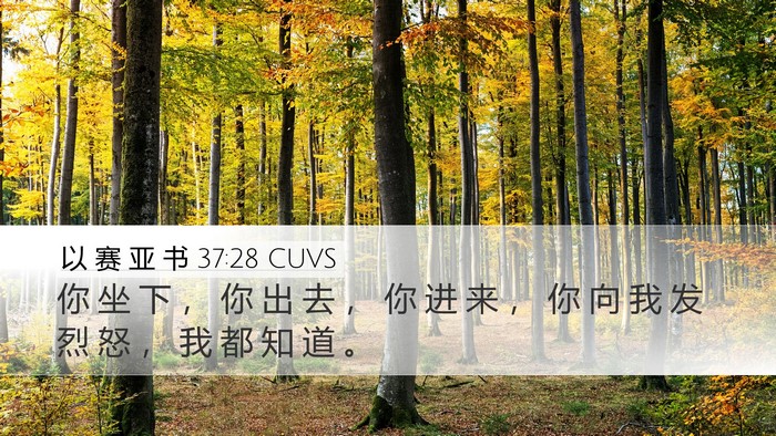 以 赛 亚 书 37:28 CUVS Bible Verse Image