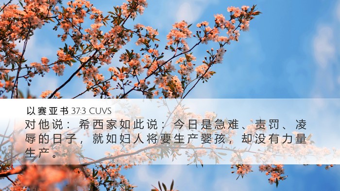 以 赛 亚 书 37:3 CUVS Bible Verse Image