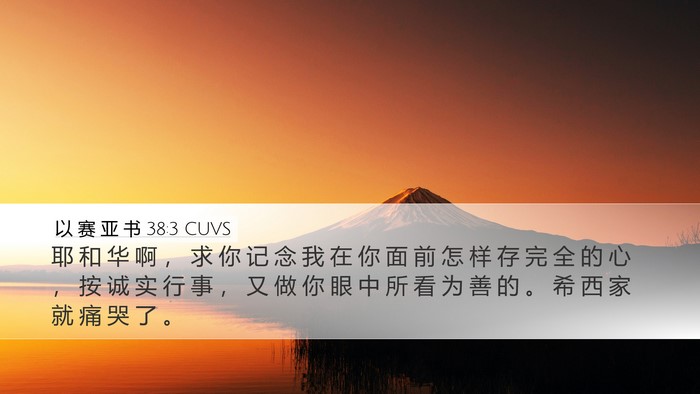 以 赛 亚 书 38:3 CUVS Bible Verse Image