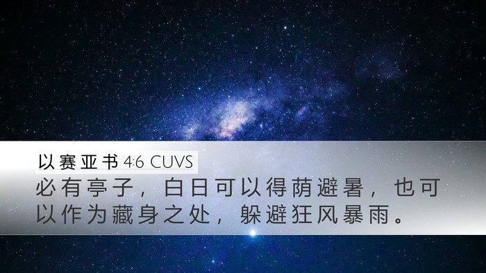 以 赛 亚 书 4:6 CUVS Bible Verse Image