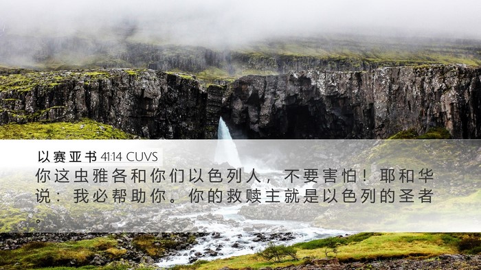 以 赛 亚 书 41:14 CUVS Bible Verse Image