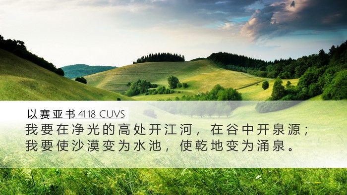 以 赛 亚 书 41:18 CUVS Bible Verse Image