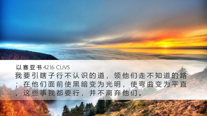 以 赛 亚 书 42:16 CUVS Bible Verse Image