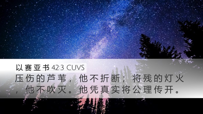 以 赛 亚 书 42:3 CUVS Bible Verse Image
