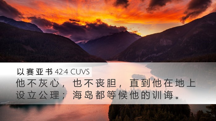 以 赛 亚 书 42:4 CUVS Bible Verse Image