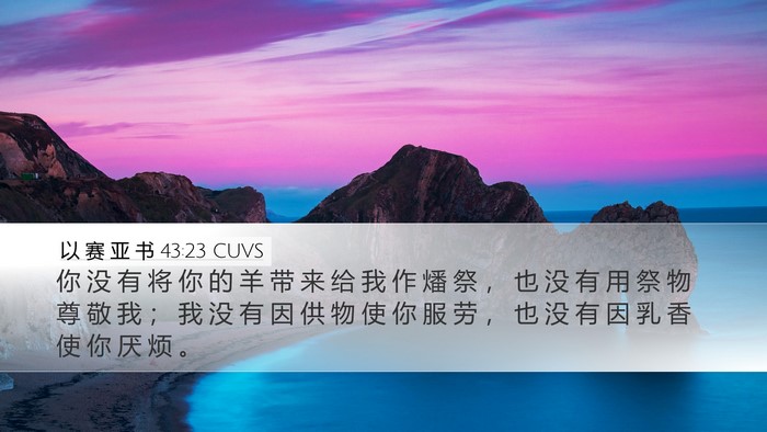 以 赛 亚 书 43:23 CUVS Bible Verse Image