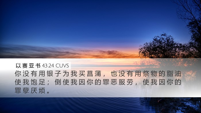 以 赛 亚 书 43:24 CUVS Bible Verse Image