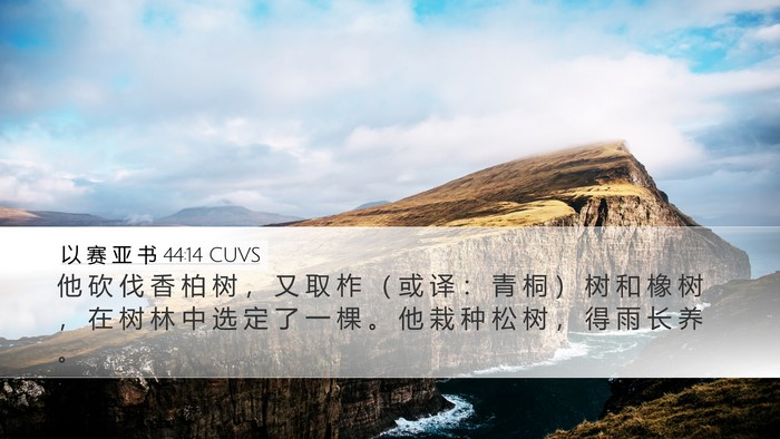 以 赛 亚 书 44:14 CUVS Bible Verse Image