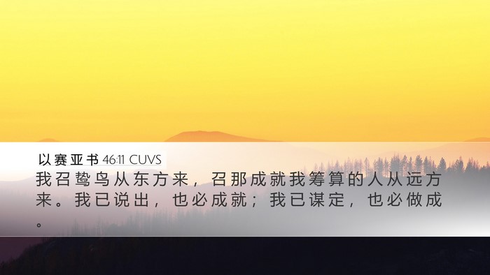 以 赛 亚 书 46:11 CUVS Bible Verse Image
