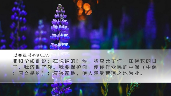 以 赛 亚 书 49:8 CUVS Bible Verse Image