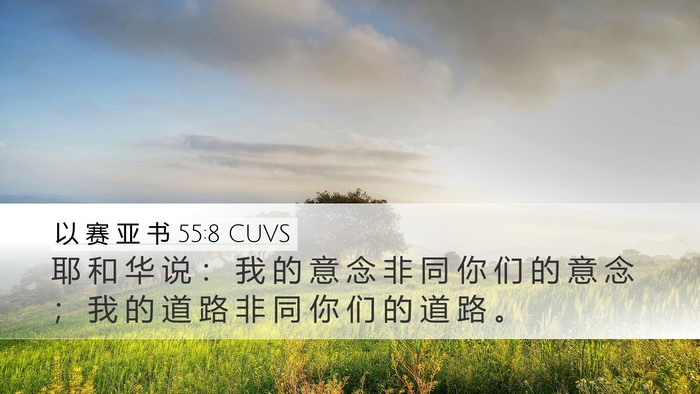 以 赛 亚 书 55:8 CUVS Bible Verse Image