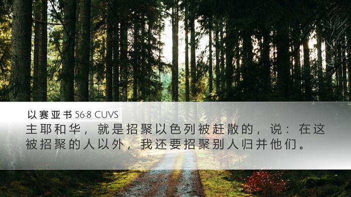 以 赛 亚 书 56:8 CUVS Bible Verse Image