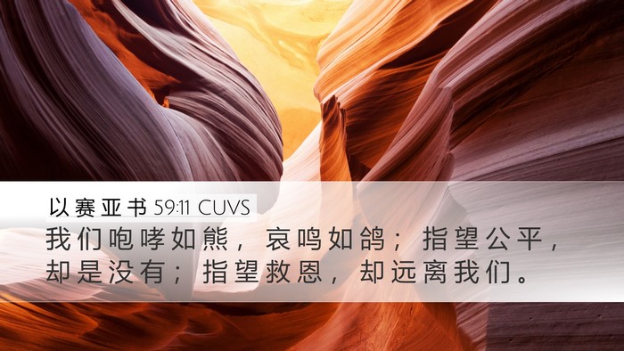 以 赛 亚 书 59:11 CUVS Bible Verse Image