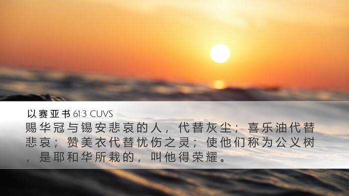 以 赛 亚 书 61:3 CUVS Bible Verse Image