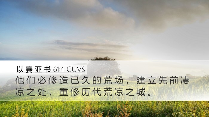 以 赛 亚 书 61:4 CUVS Bible Verse Image