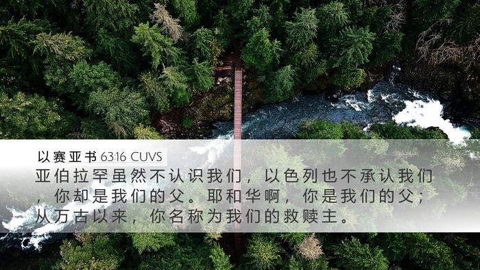 以 赛 亚 书 63:16 CUVS Bible Verse Image