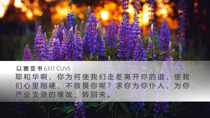 以 赛 亚 书 63:17 CUVS Bible Verse Image
