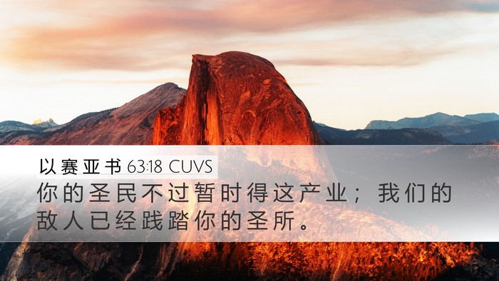 以 赛 亚 书 63:18 CUVS Bible Verse Image