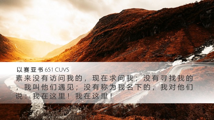 以 赛 亚 书 65:1 CUVS Bible Verse Image