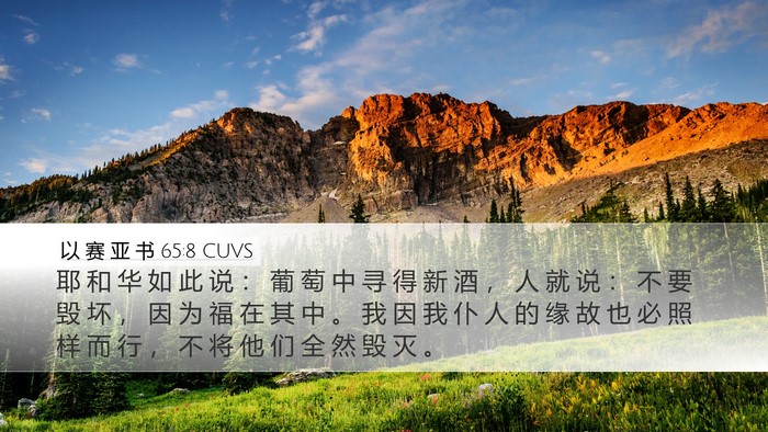 以 赛 亚 书 65:8 CUVS Bible Verse Image