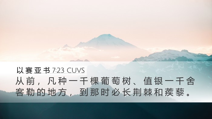 以 赛 亚 书 7:23 CUVS Bible Verse Image