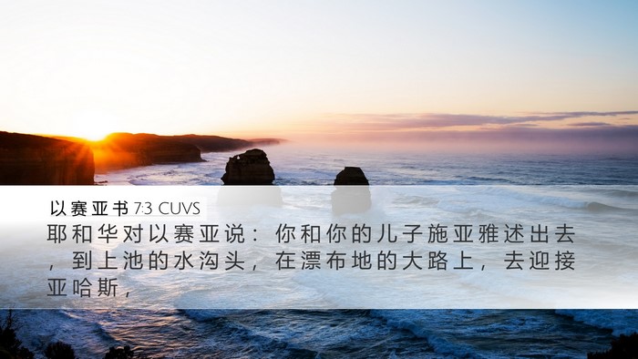 以 赛 亚 书 7:3 CUVS Bible Verse Image