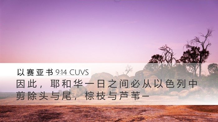 以 赛 亚 书 9:14 CUVS Bible Verse Image