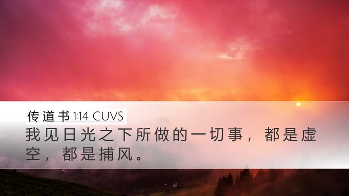 传 道 书 1:14 CUVS Bible Verse Image