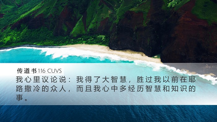 传 道 书 1:16 CUVS Bible Verse Image
