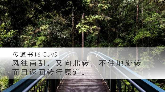 传 道 书 1:6 CUVS Bible Verse Image