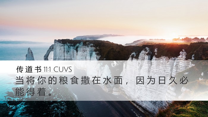 传 道 书 11:1 CUVS Bible Verse Image
