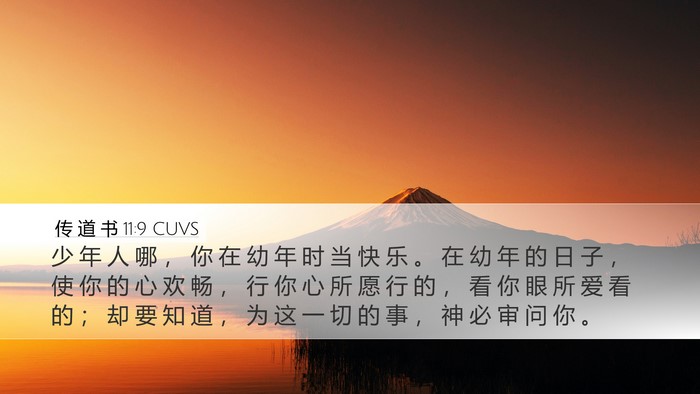 传 道 书 11:9 CUVS Bible Verse Image