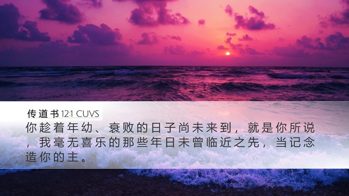 传 道 书 12:1 CUVS Bible Verse Image