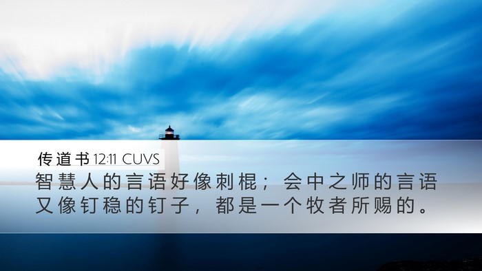 传 道 书 12:11 CUVS Bible Verse Image