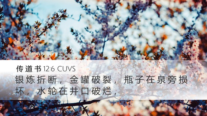 传 道 书 12:6 CUVS Desktop Wallpaper - 银 炼 折 断 ， 金 罐 破 裂 ， 瓶 子 - Desktop Bible Verse Wallpaper