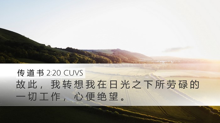 传 道 书 2:20 CUVS Bible Verse Image
