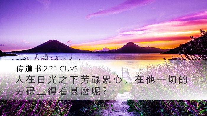 传 道 书 2:22 CUVS Bible Verse Image