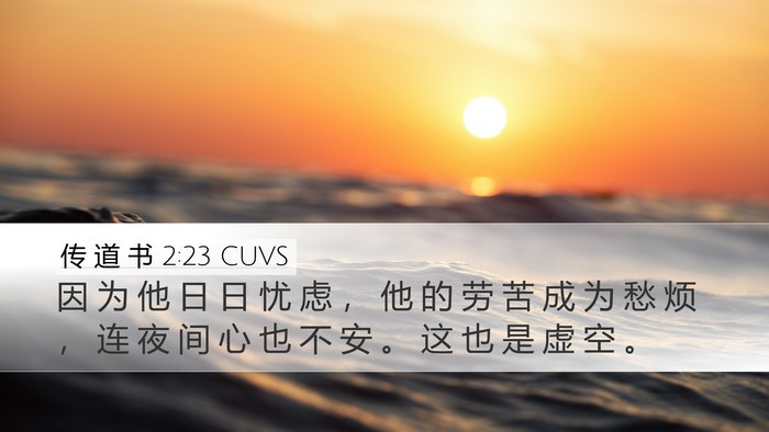 传 道 书 2:23 CUVS Bible Verse Image