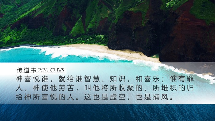 传 道 书 2:26 CUVS Bible Verse Image