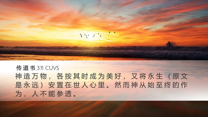 传 道 书 3:11 CUVS Bible Verse Image