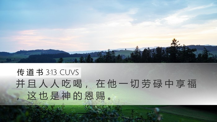 传 道 书 3:13 CUVS Desktop Wallpaper - 并 且 人 人 吃 喝 ， 在 他 一 切 劳 - Desktop Bible Verse Wallpaper