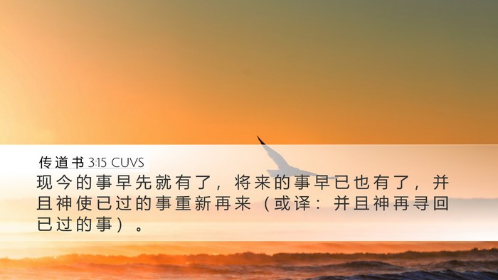 传 道 书 3:15 CUVS Desktop Wallpaper - 现 今 的 事 早 先 就 有 了 ， 将 来 - Desktop Bible Verse Wallpaper