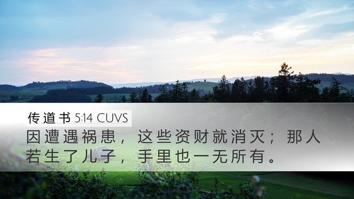 传 道 书 5:14 CUVS Bible Verse Image