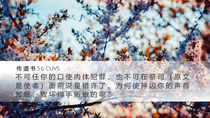 传 道 书 5:6 CUVS Bible Verse Image