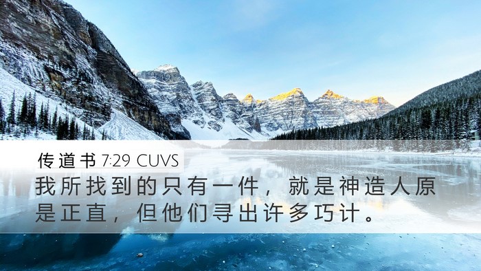 传 道 书 7:29 CUVS Bible Verse Image