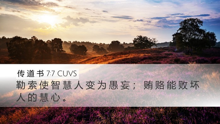 传 道 书 7:7 CUVS Bible Verse Image
