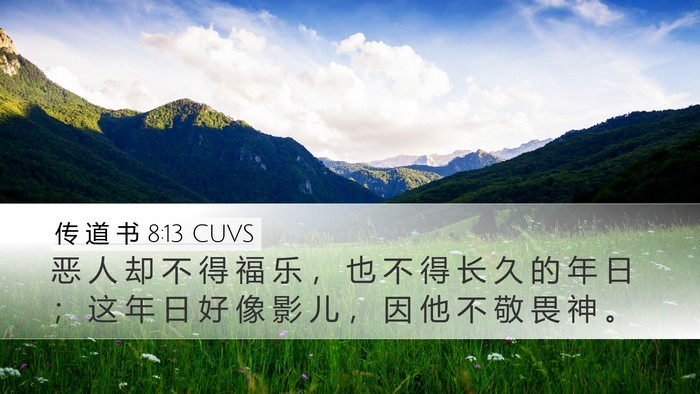 传 道 书 8:13 CUVS Bible Verse Image